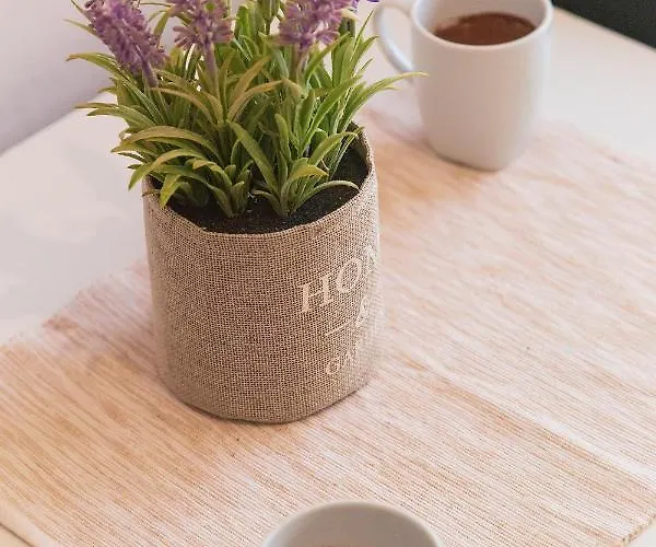 Sueno Luxury 波利克罗诺